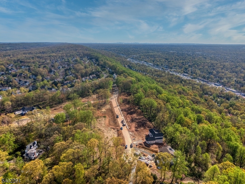 8 Juniper Pointe Trail Dunellen, NJ 08812 - Photo 7 of 33