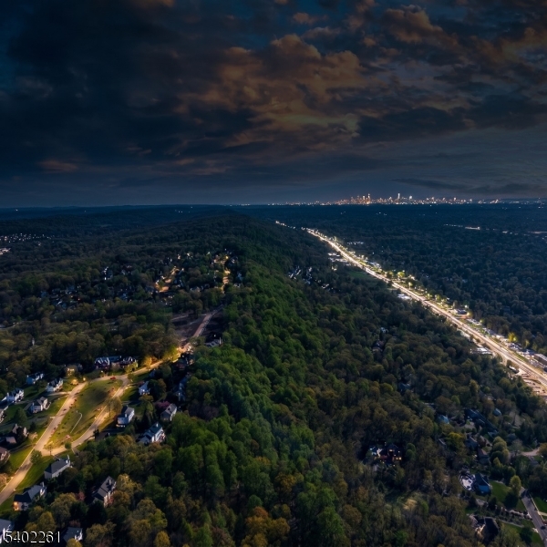 8 Juniper Pointe Trail Dunellen, NJ 08812 - Photo 8 of 33