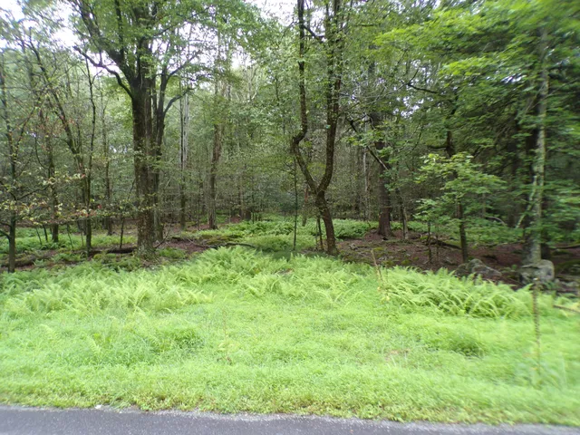 $5,000 | Cobblewood Road, Newfoundland, PA 18445