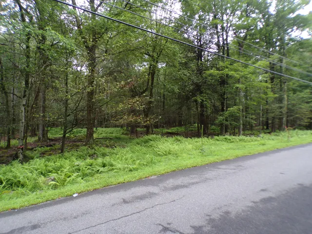 $5,000 | Cobblewood Road, Newfoundland, PA 18445