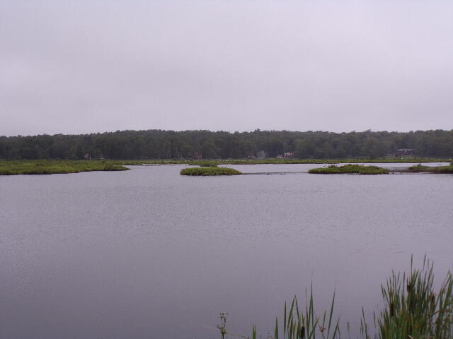 Cobblewood Road Newfoundland, PA 18445 - Photo 6 of 8 102_2042