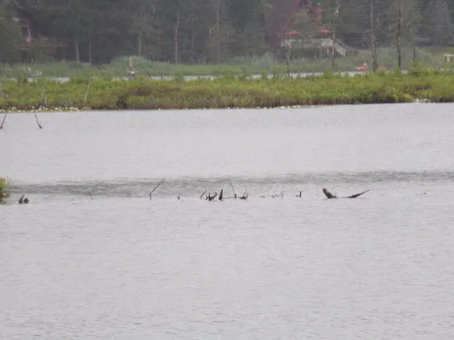 $5,000 | Cobblewood Road, Newfoundland, PA 18445