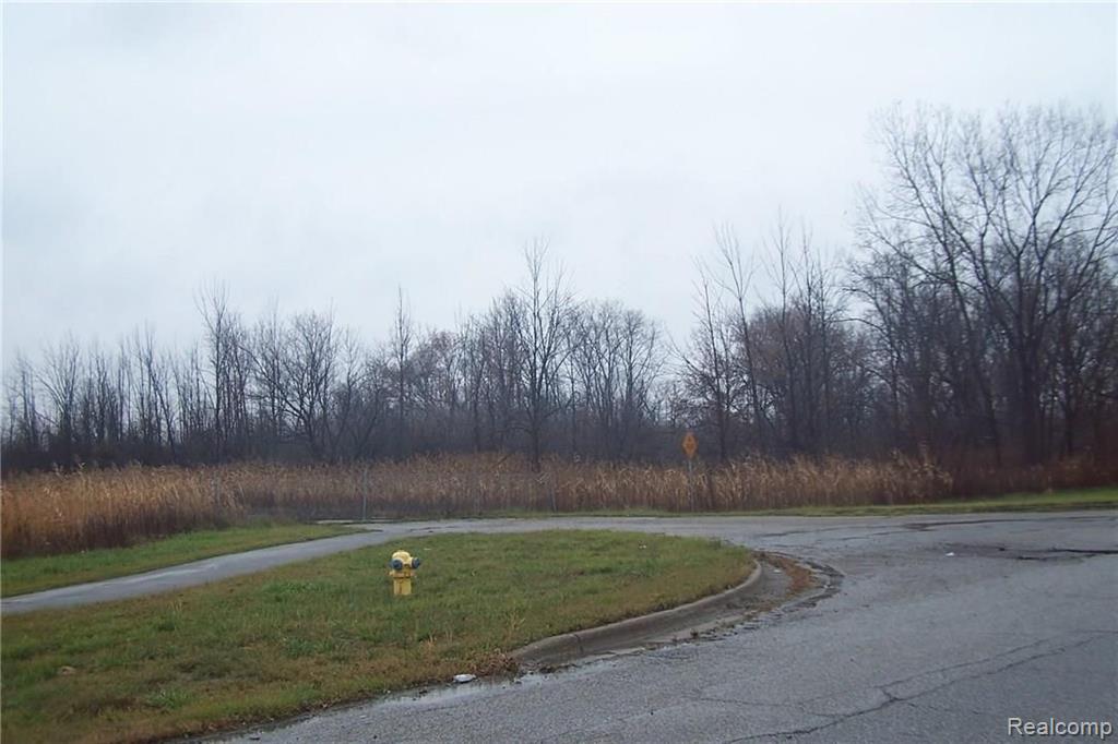 0 29 29 Mile Road Ray, MI 48096 - Photo 1 of 4