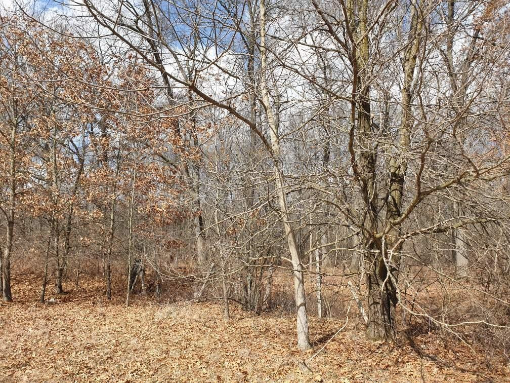 5406 Oakpoint Road Jackson, MI 49201 - Photo 3 of 10 Photo 3