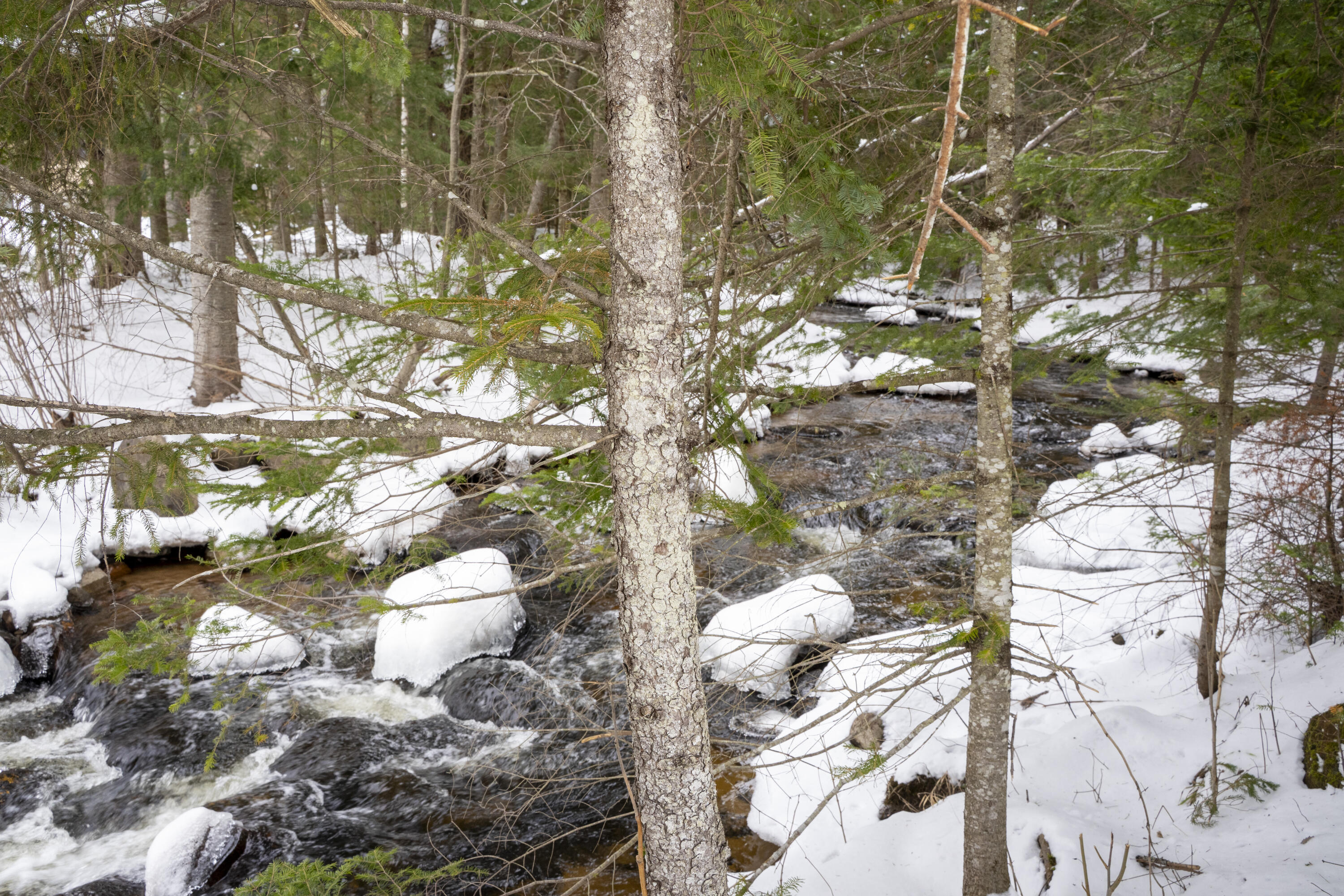 896 Standish Road Saranac, NY 12981 - Photo 4 of 33 River