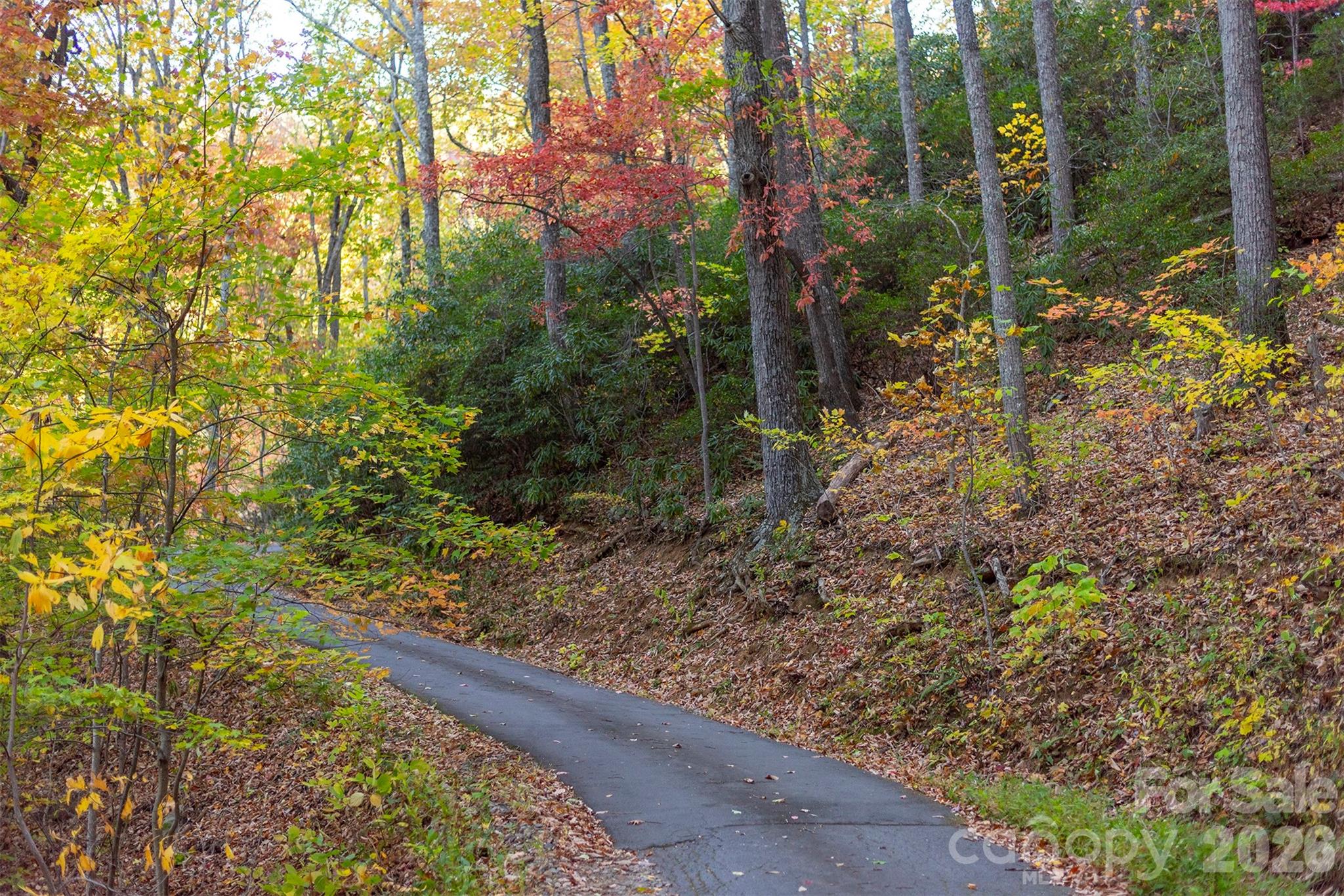 Tbd Summer Haven Road, Unit 16 Swannanoa, NC 28778 - Photo 25 of 45