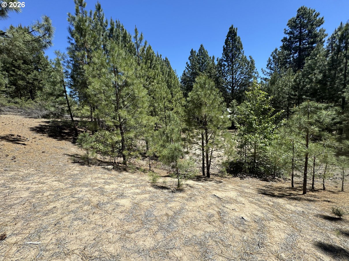 Friendship Drive, Unit 12 Chiloquin, OR 97624 - Photo 7 of 28