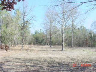 0 Sam Nexsen Road Summerton, SC 29148 - Photo 1 of 1