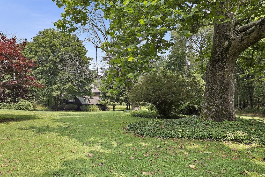 98 Plain Street Middleboro, MA 02346 - Photo 20 of 25 a view of a grassy field with trees