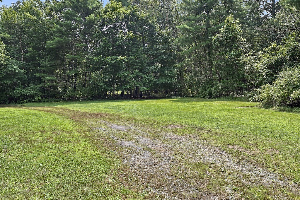 98 Plain Street Middleboro, MA 02346 - Photo 22 of 25 a view of a big yard with a large trees