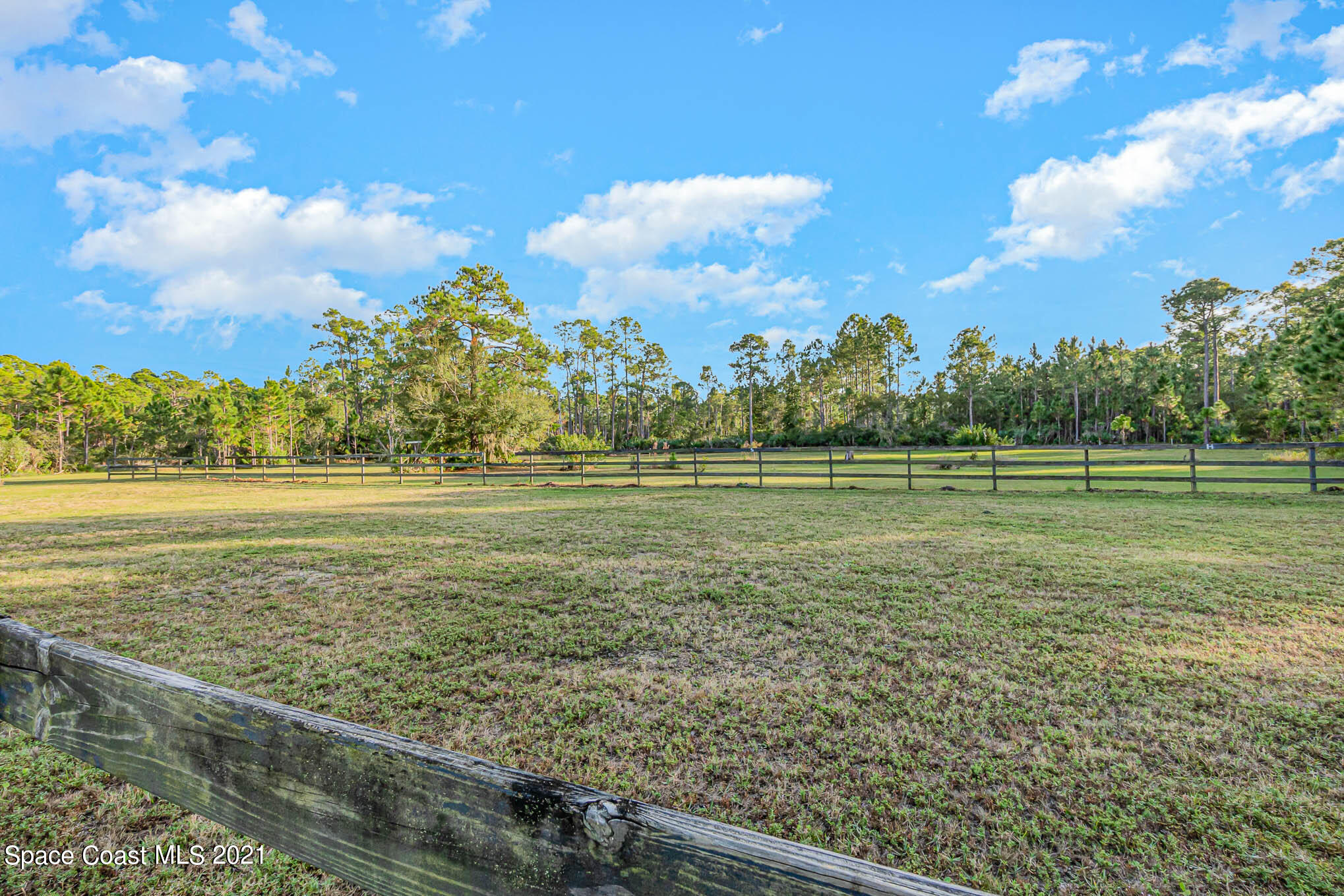 10401 Bromeliad Road Mims, FL 32754 - Photo 50 of 58 DSC00072-Edit