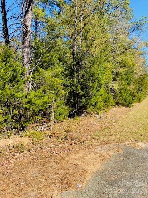 1 West North Corner Road, Unit B Lancaster, SC 29720 - Photo 2 of 10 a view of a yard with trees