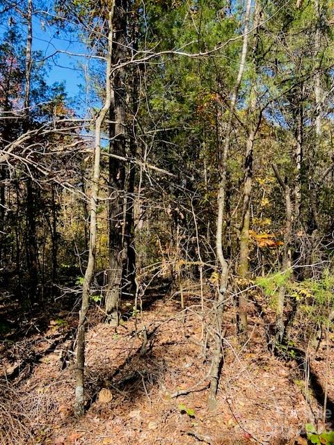 1 West North Corner Road, Unit B Lancaster, SC 29720 - Photo 3 of 10