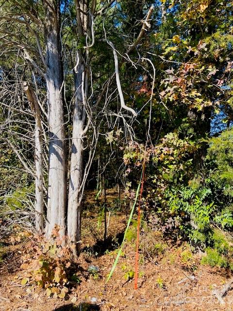 1 West North Corner Road, Unit B Lancaster, SC 29720 - Photo 5 of 10 a view of a yard with plants and trees