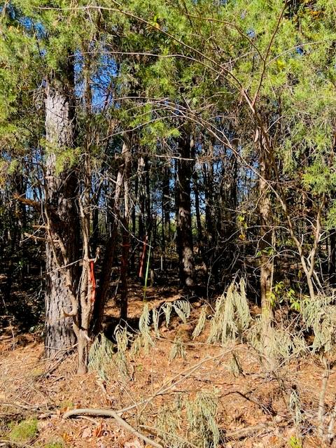 1 West North Corner Road, Unit B Lancaster, SC 29720 - Photo 7 of 10 a view of tree
