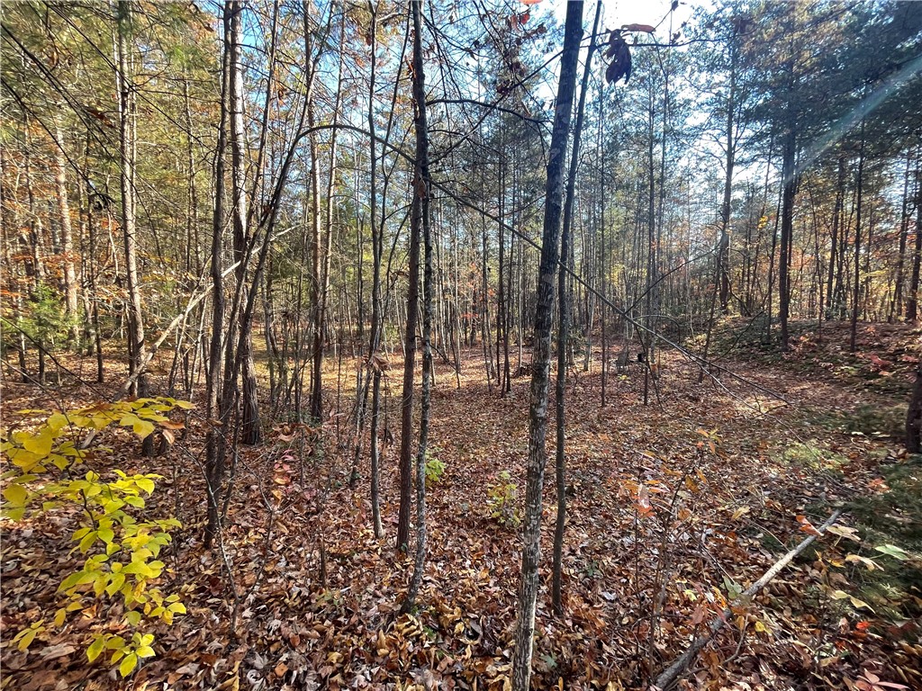 3 Shallow Ford Road Salem, SC 29676 - Photo 9 of 16 Gallery Image 9