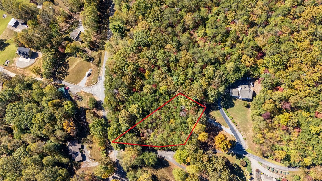 Lot 1 Twin Mountain Road Hiawassee, GA 30546 - Photo 4 of 6