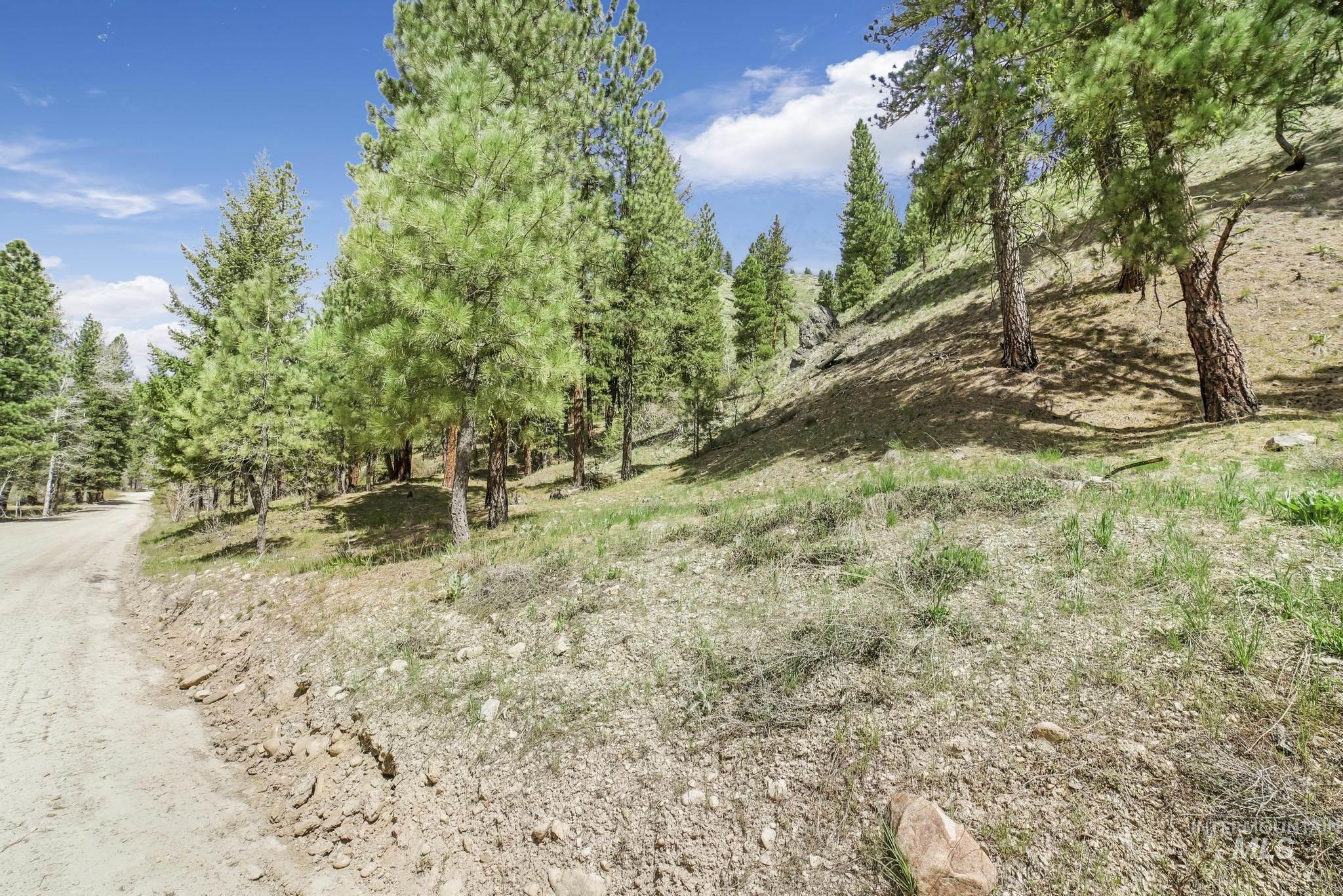 Tbd Tbd Trinity Creek Road Mountain Home, ID 83647 - Photo 15 of 30