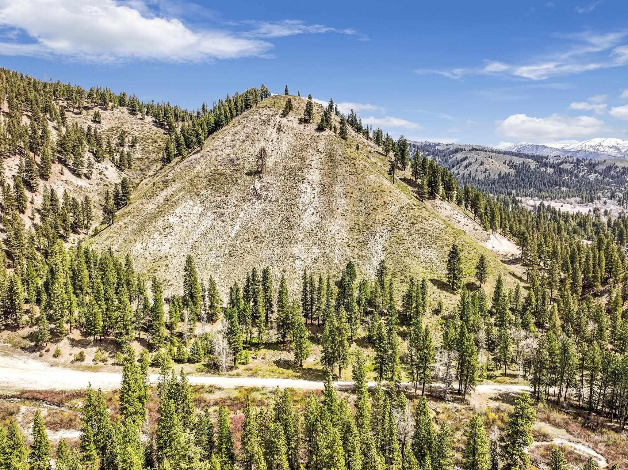 Tbd Tbd Trinity Creek Road Mountain Home, ID 83647 - Photo 18 of 30