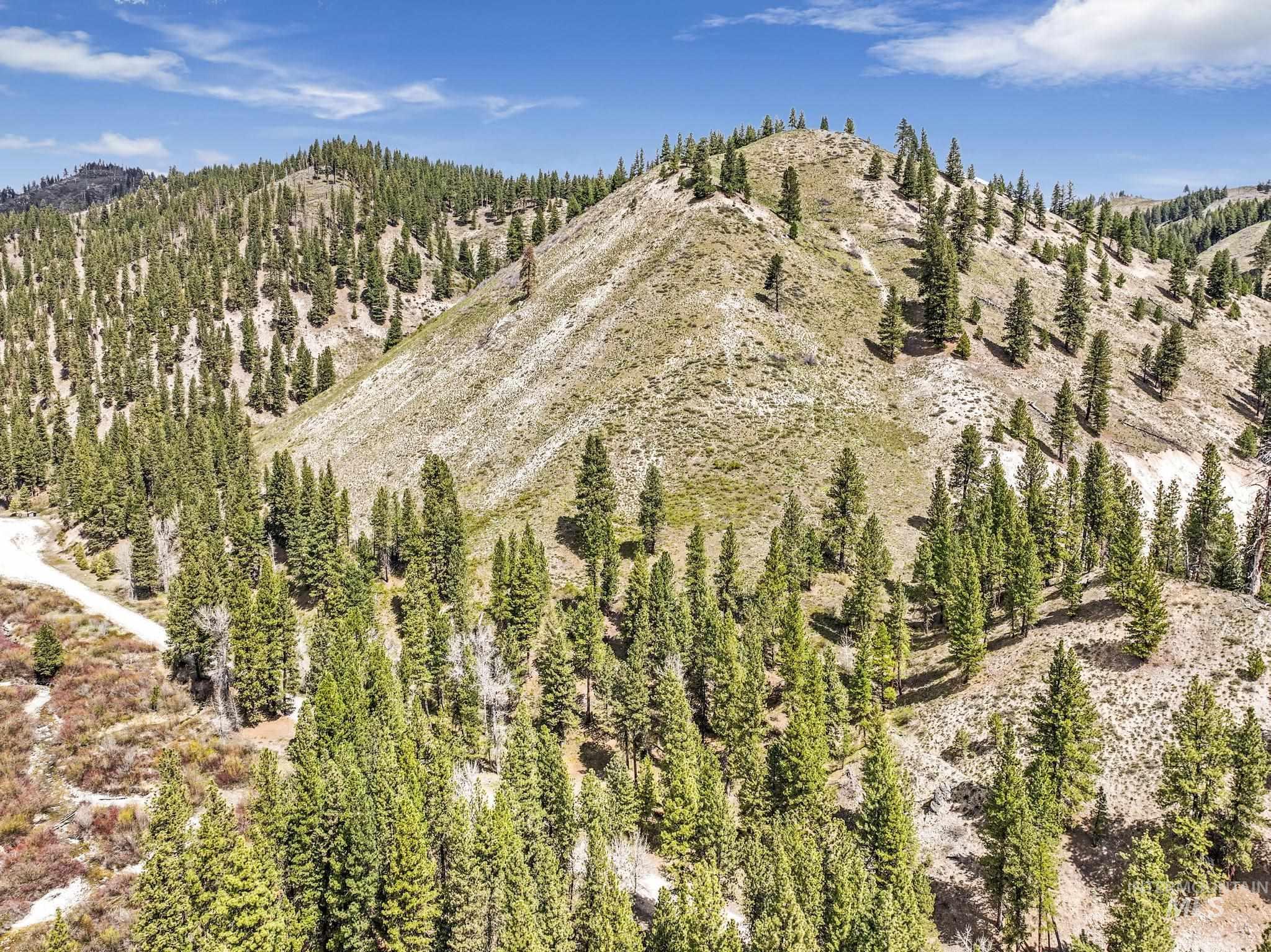 Tbd Tbd Trinity Creek Road Mountain Home, ID 83647 - Photo 19 of 30