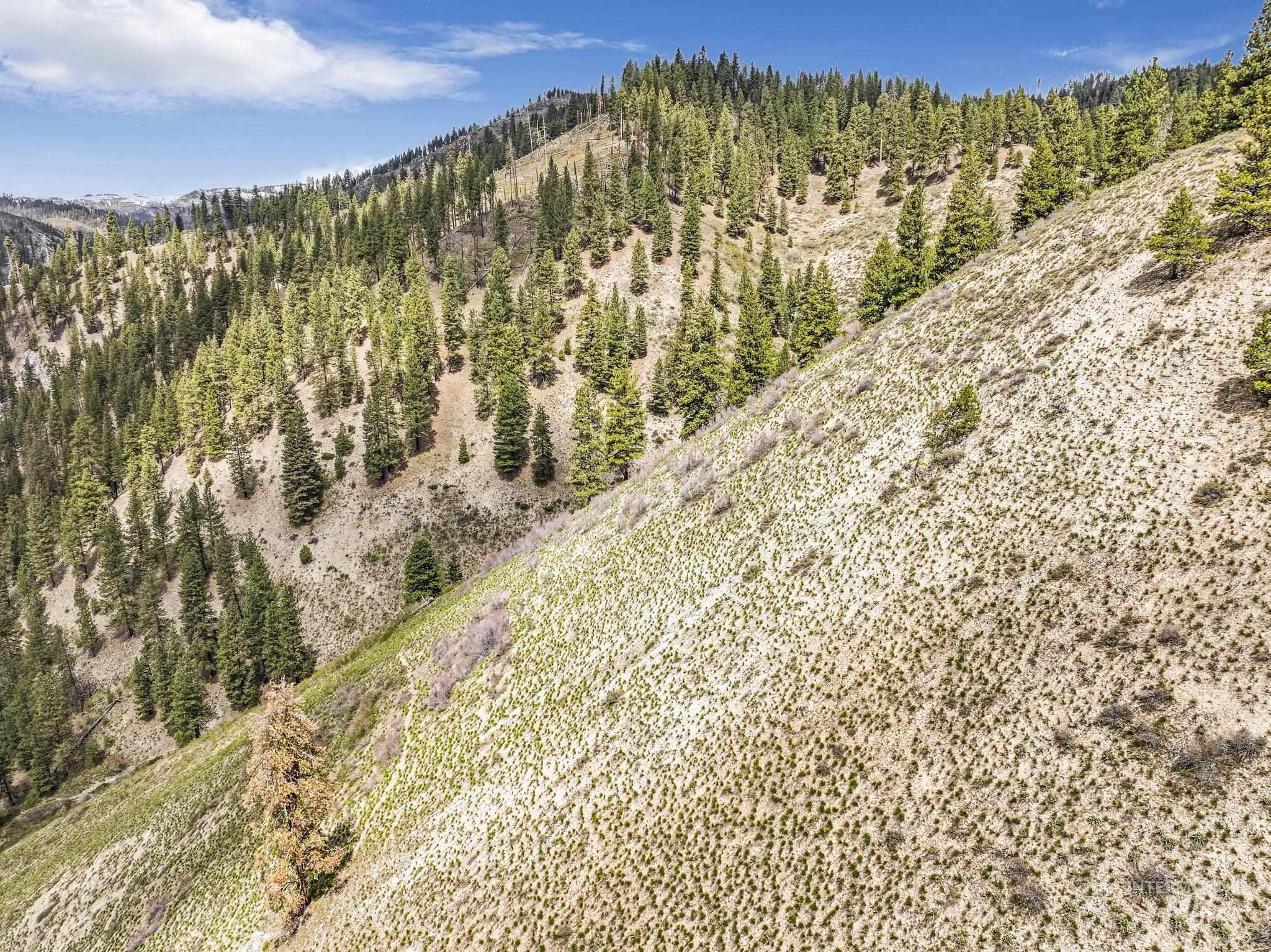 Tbd Tbd Trinity Creek Road Mountain Home, ID 83647 - Photo 27 of 30