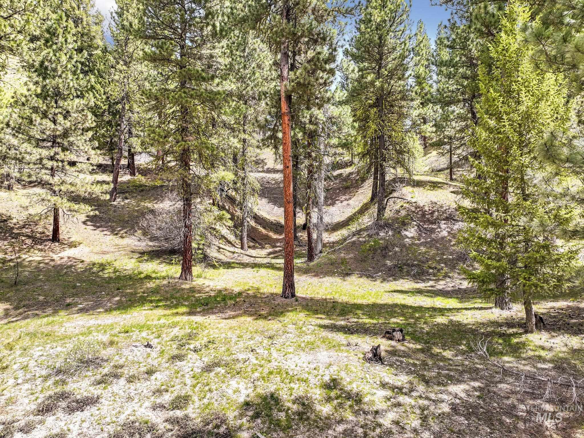 Tbd Tbd Trinity Creek Road Mountain Home, ID 83647 - Photo 4 of 30