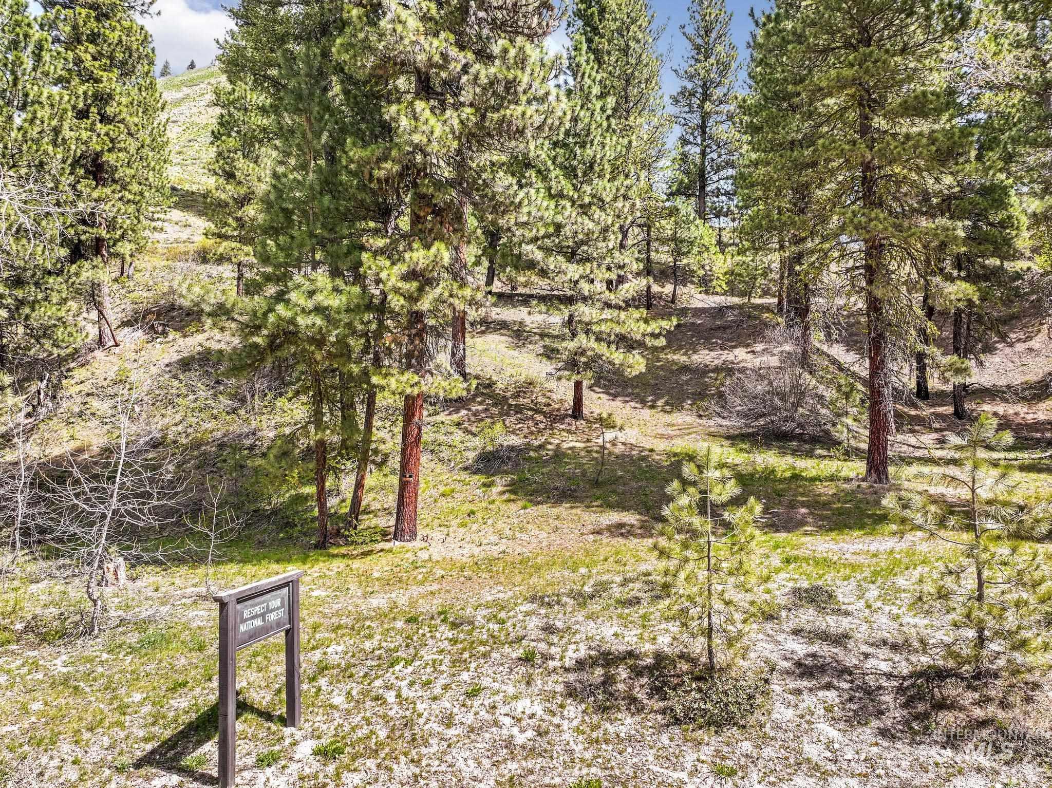 Tbd Tbd Trinity Creek Road Mountain Home, ID 83647 - Photo 6 of 30