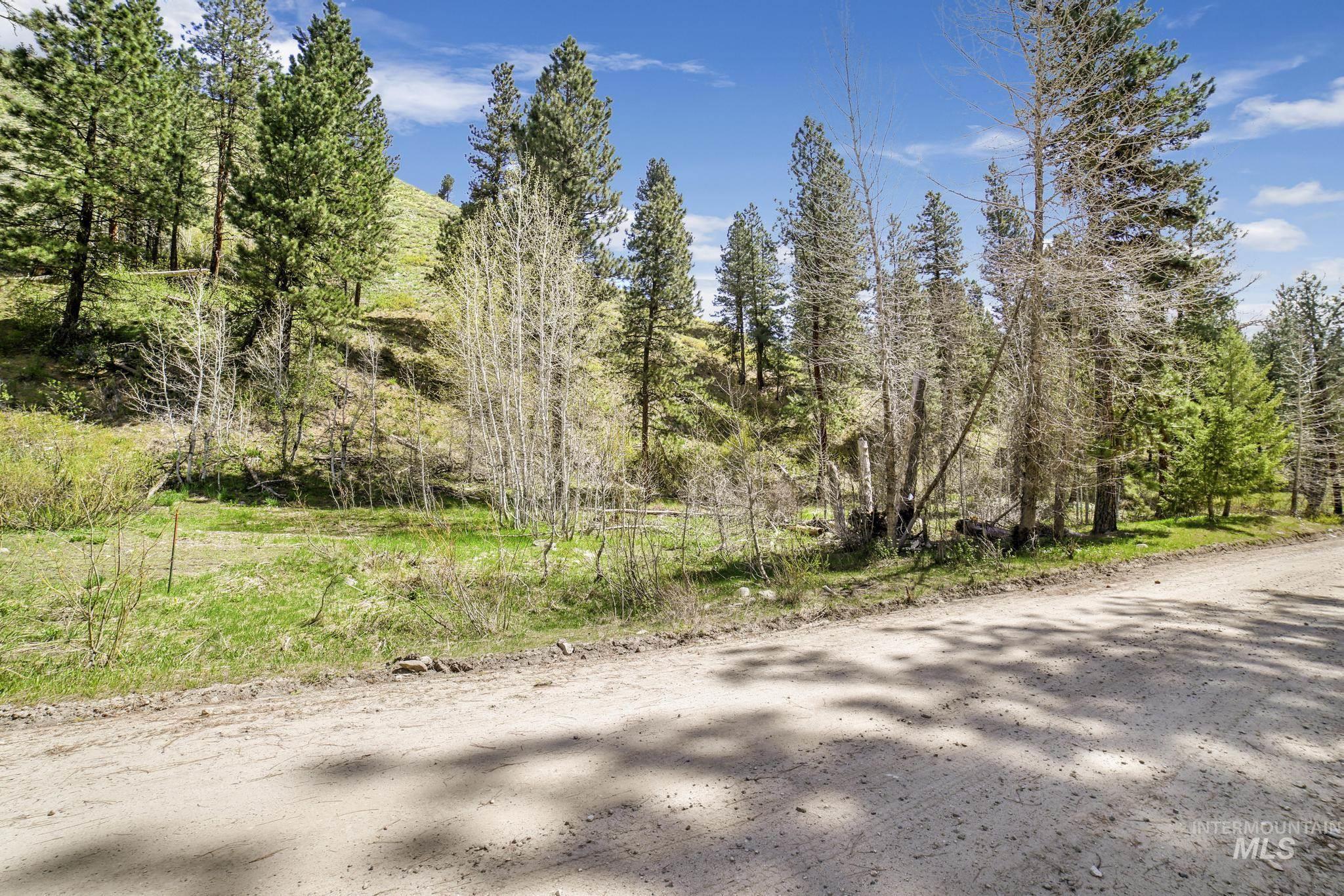 Tbd Tbd Trinity Creek Road Mountain Home, ID 83647 - Photo 7 of 30