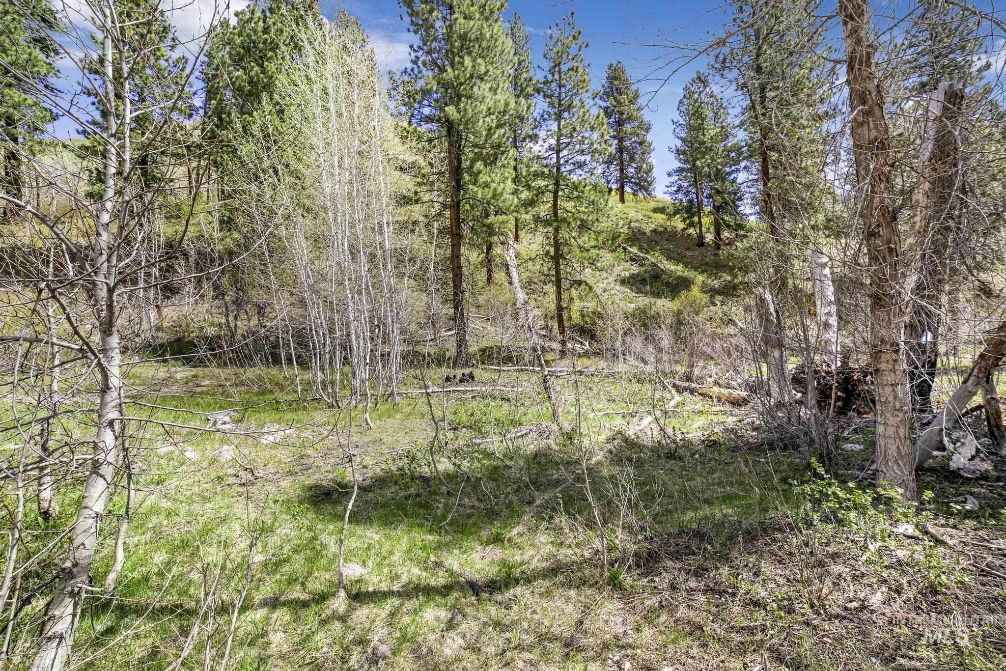 Tbd Tbd Trinity Creek Road Mountain Home, ID 83647 - Photo 9 of 30