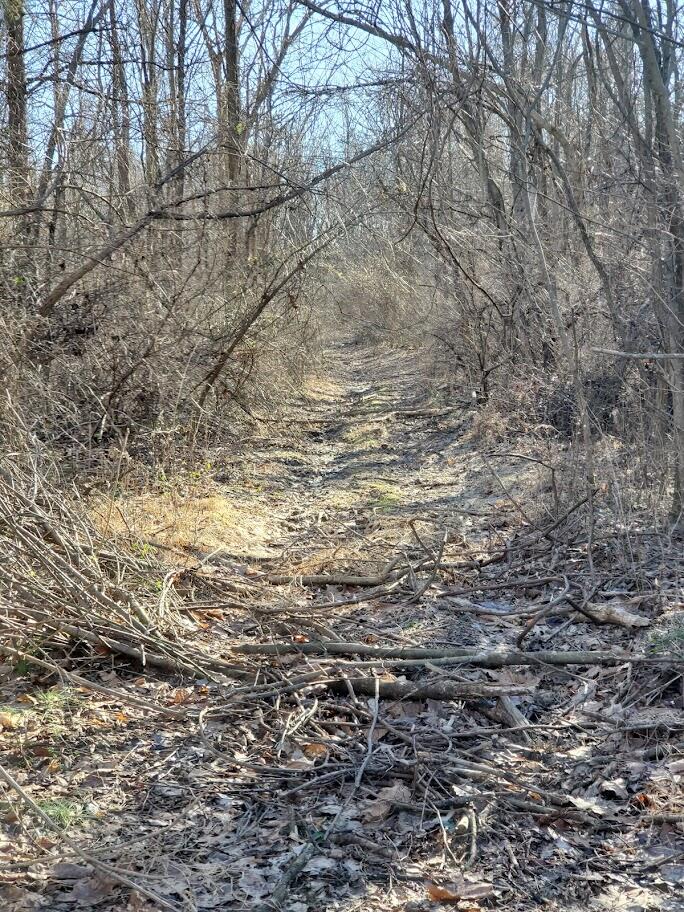 900 Duke Powell Road McKee, KY 40447 - Photo 8 of 13 20220111_144054