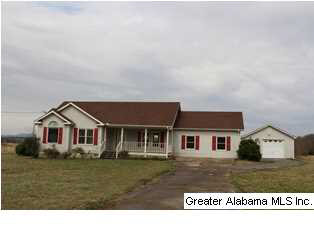 1815 Babbling Brook Road Piedmont, AL 36272 - Photo 1 of 25