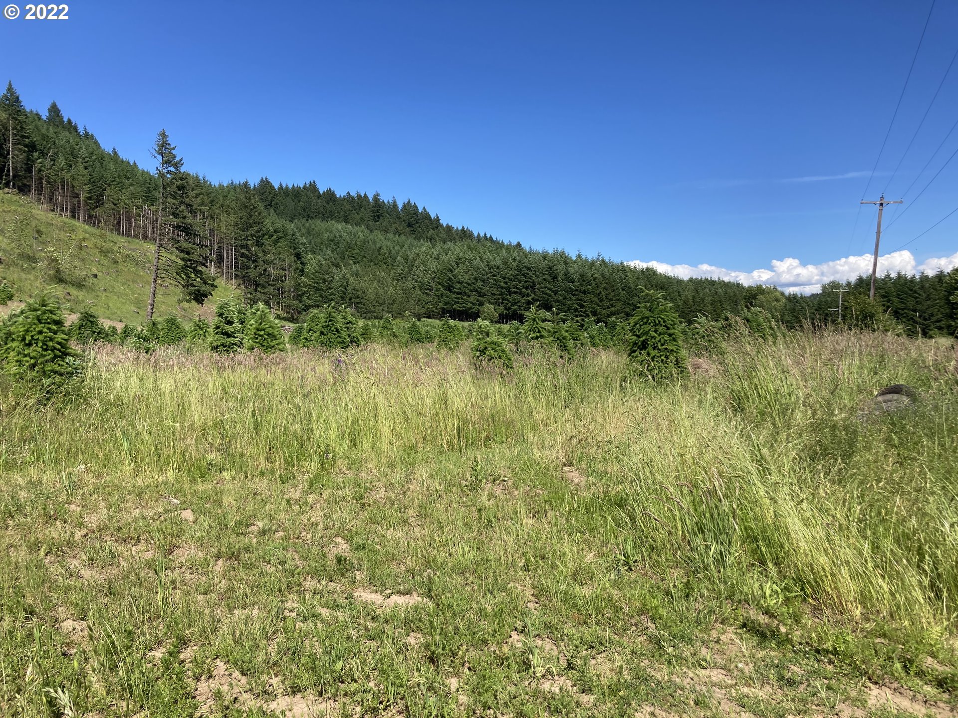 1 Gooseneck Road Sheridan, OR 97378 - Photo 1 of 1 a view of a lake and green valley