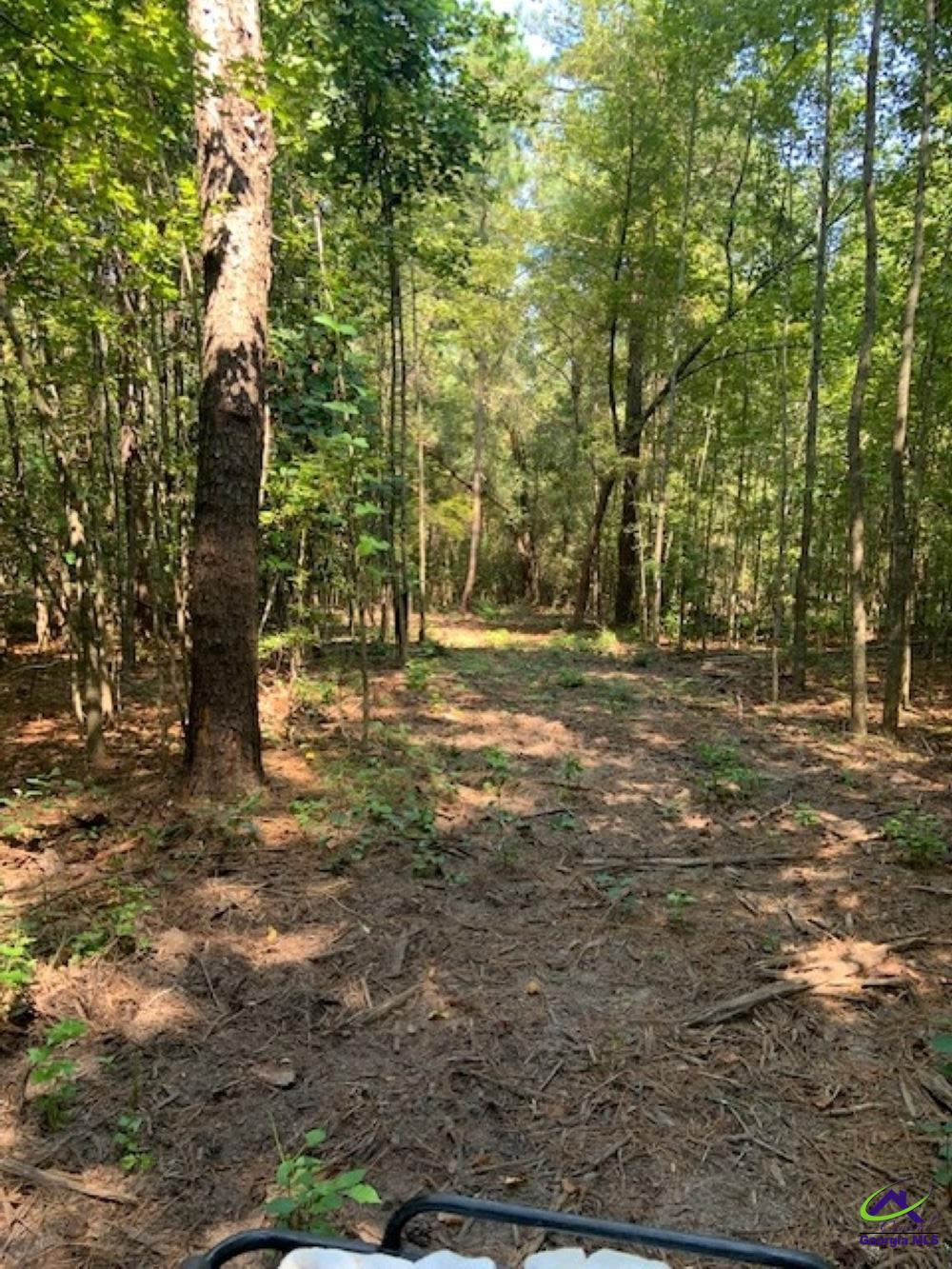 Grovania Road Elko, GA 31025 - Photo 8 of 23