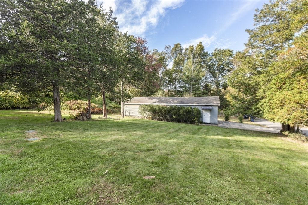 380 North Main Street Sharon, MA 02067 - Photo 31 of 35 a view of a trees in a yard