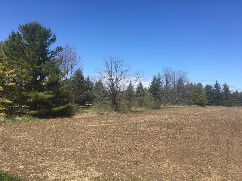 Tbd West Carlsville Road Sturgeon Bay, WI 54235 - Photo 2 of 3