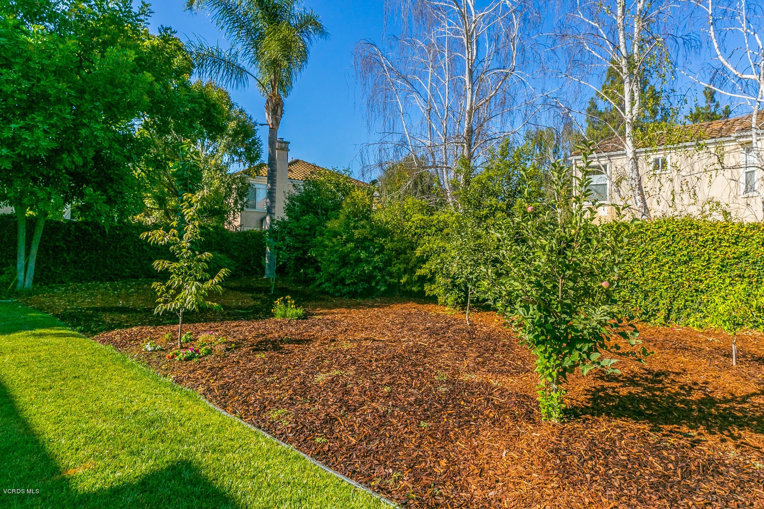 4361 Clearwood Road Moorpark, CA 93021 - Photo 40 of 41 TwoFishDigital_4361Clearwood-42