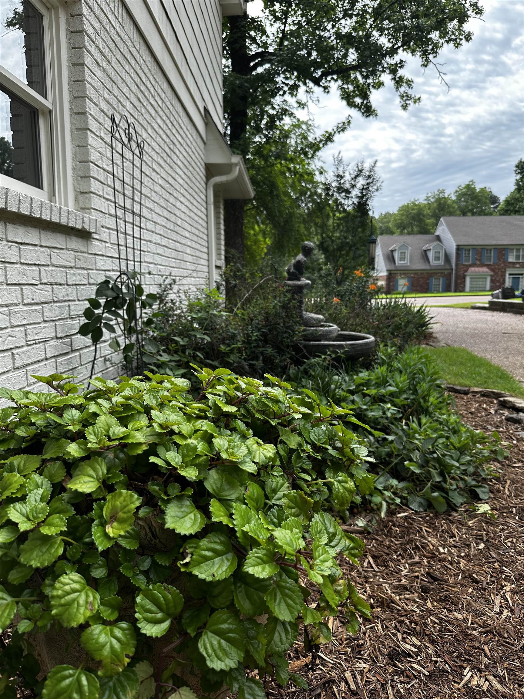 1863 Miller Farms Road Germantown, TN 38138 - Photo 30 of 32 Flower bed on South side of property alongside drive features professionally landscaped flower bed with fountain