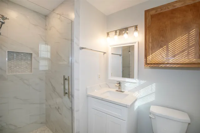 a view of a livingroom with a chandelier fan and closet area
