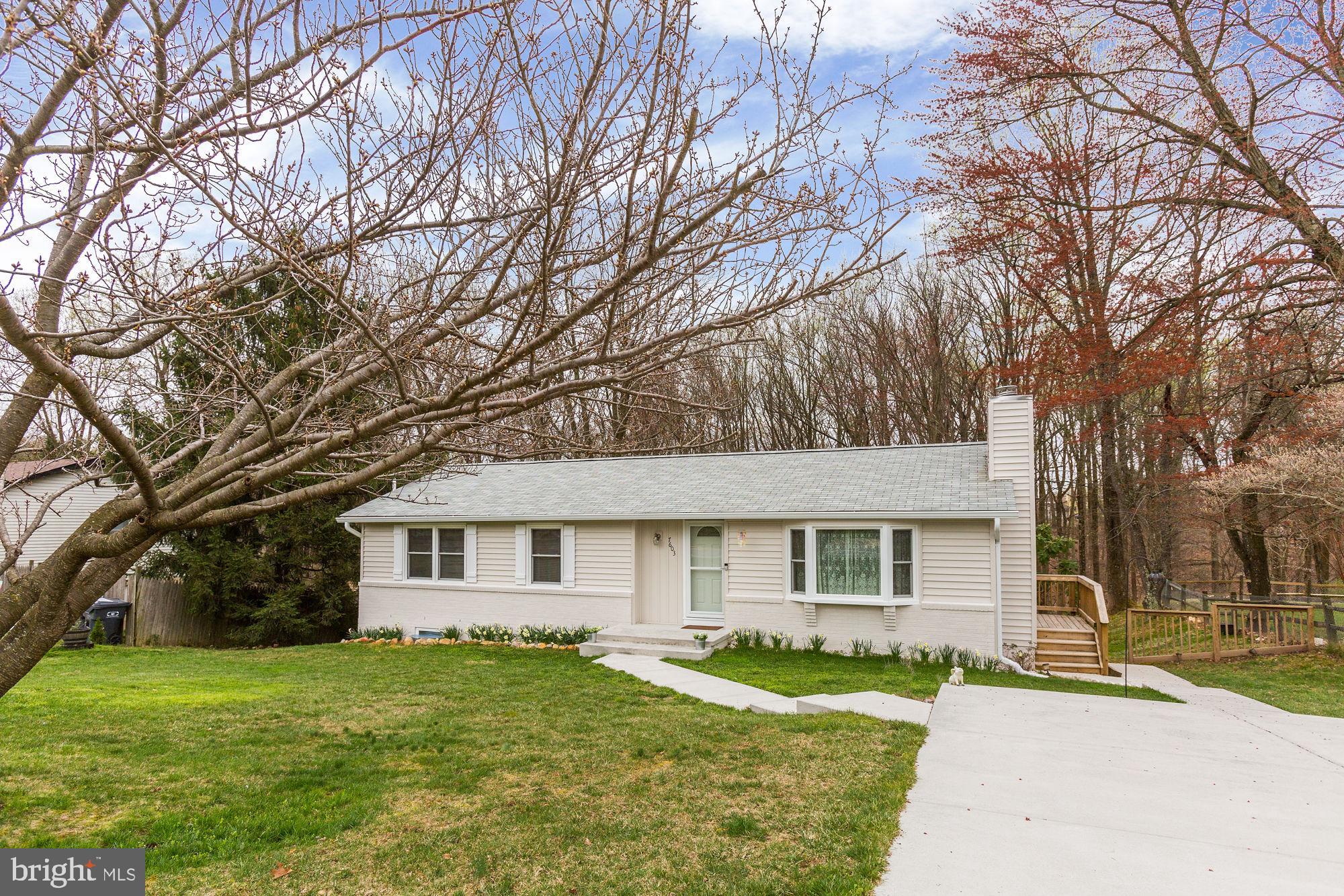 7603 Brooklyn Bridge Road Laurel, MD 20707 - Photo 2 of 78 Gallery Image 2