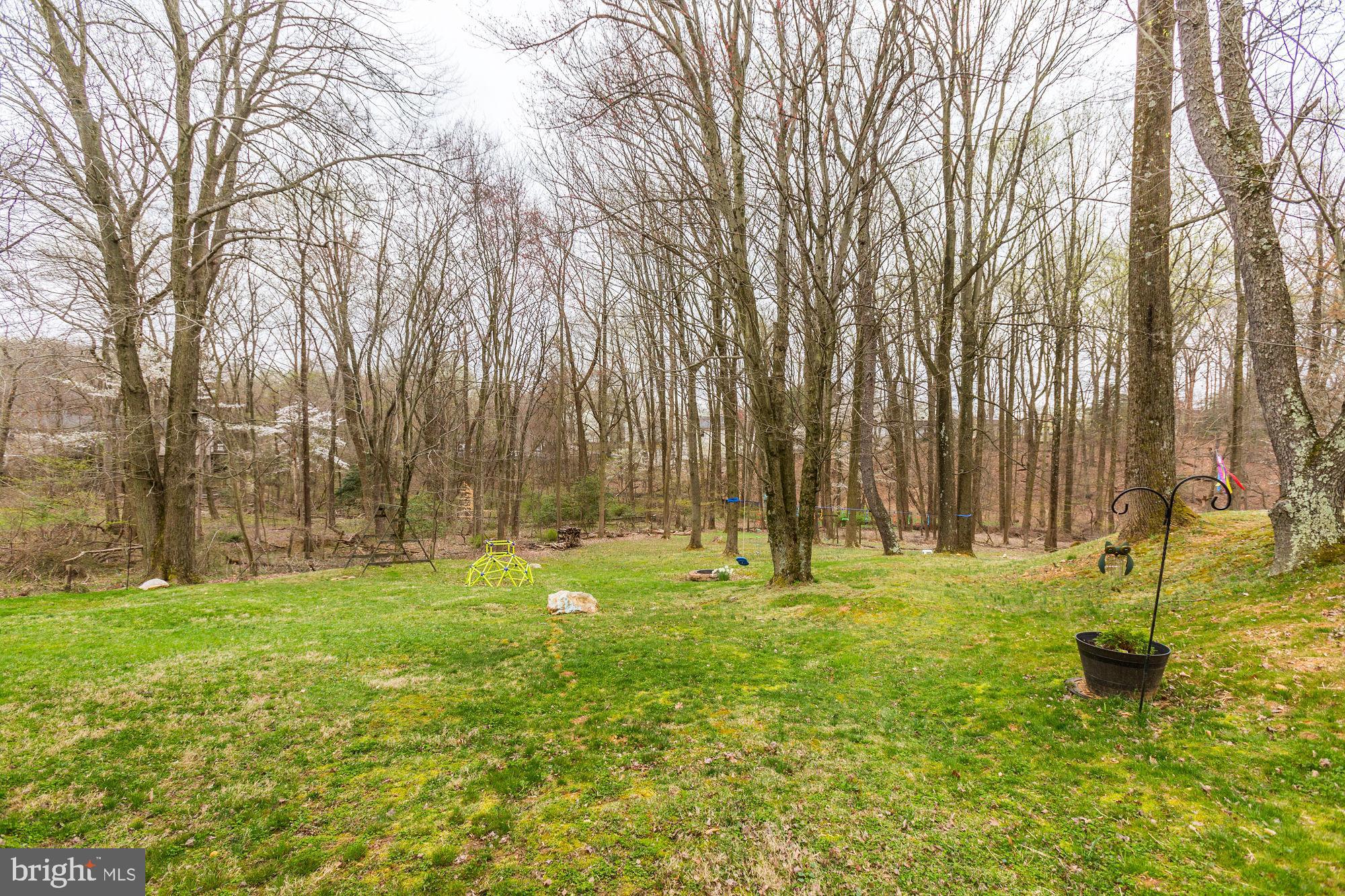 7603 Brooklyn Bridge Road Laurel, MD 20707 - Photo 62 of 78 Gallery Image 62
