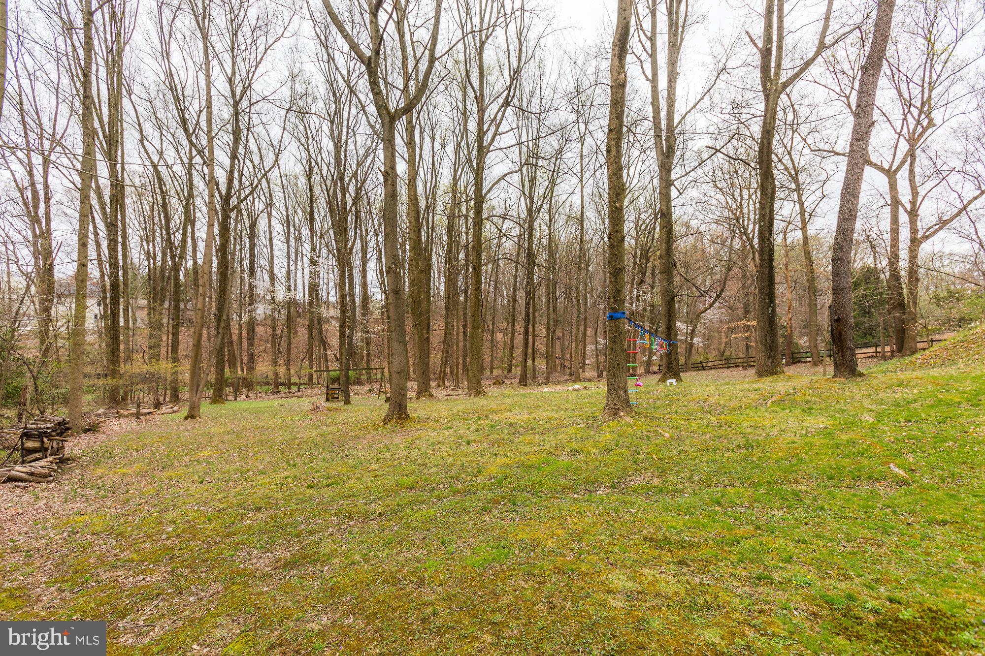 7603 Brooklyn Bridge Road Laurel, MD 20707 - Photo 64 of 78 Gallery Image 64