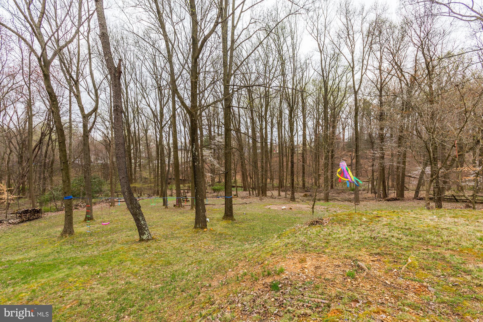 7603 Brooklyn Bridge Road Laurel, MD 20707 - Photo 68 of 78 Gallery Image 68