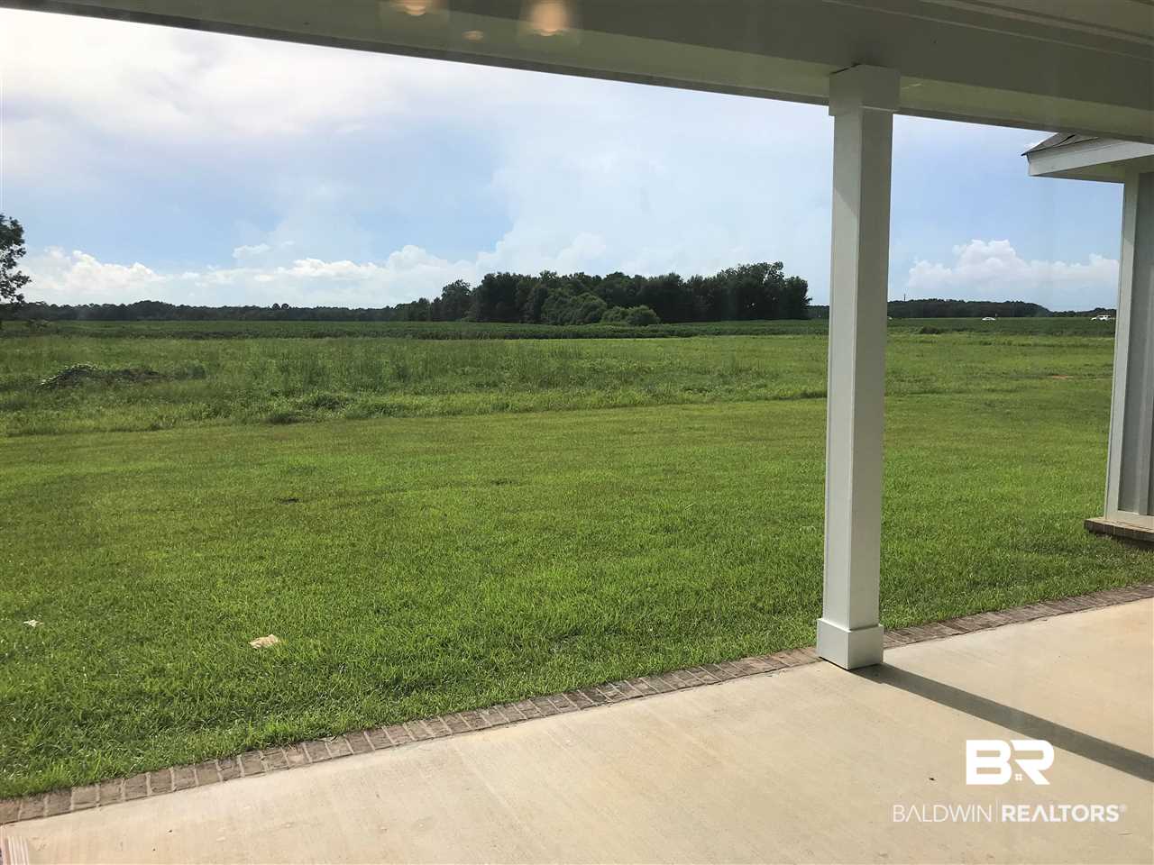 12361 Pecan Grove Street Foley, AL 36535 - Photo 6 of 24