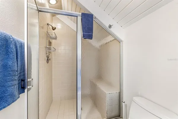 a bathroom with a shower and a toilet