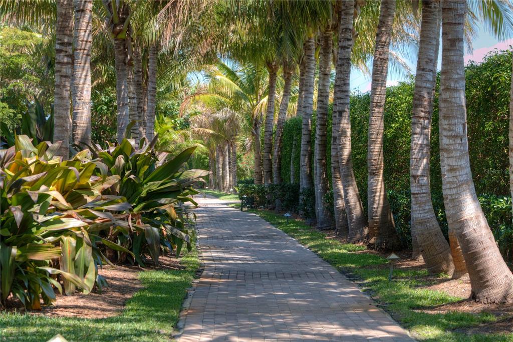 5000 Gasparilla Road, Unit 19 Boca Grande, FL 33921 - Photo 40 of 48 a view of a backyard with potted plants and large trees