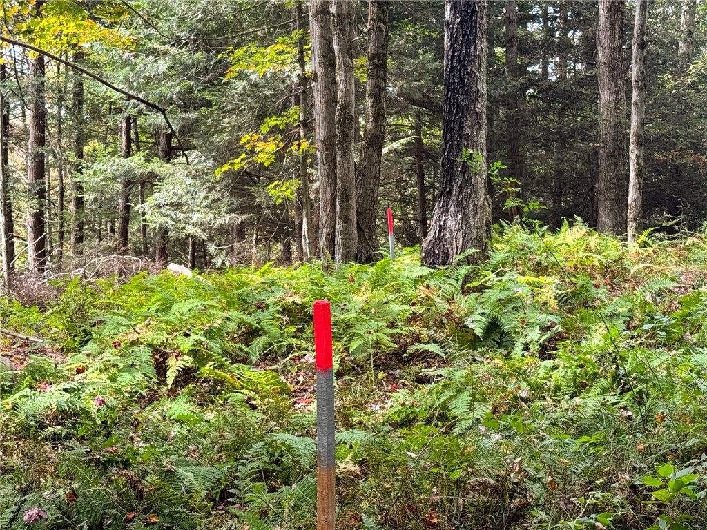 7465 Chappel Road Hamilton, NY 13346 - Photo 12 of 20