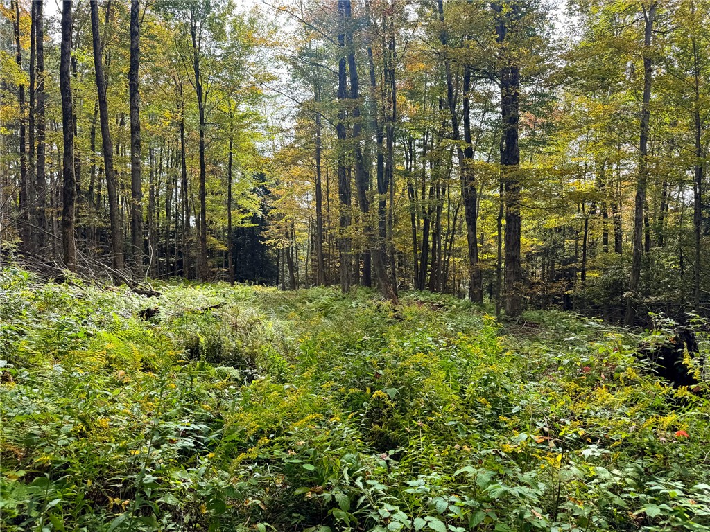 7465 Chappel Road Hamilton, NY 13346 - Photo 15 of 20