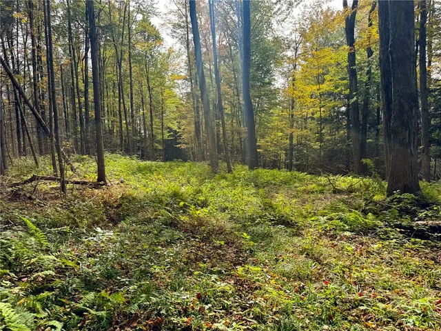 $110,000 | 7465 Chappel Road, Hamilton, NY 13346