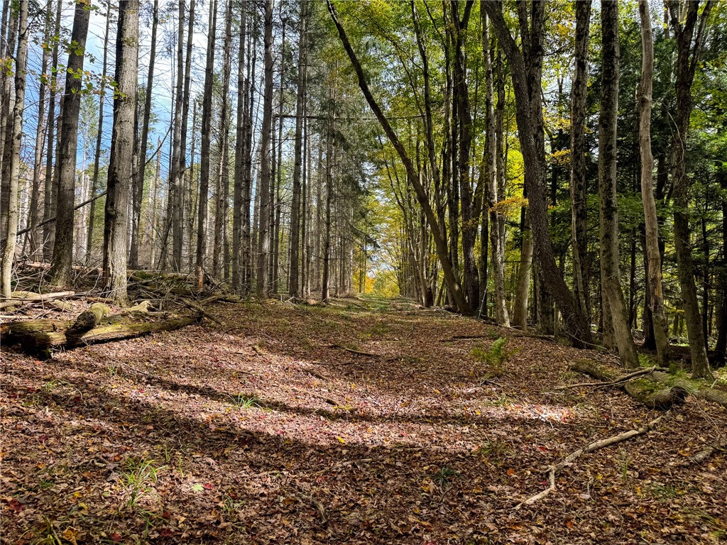 7465 Chappel Road Hamilton, NY 13346 - Photo 17 of 20