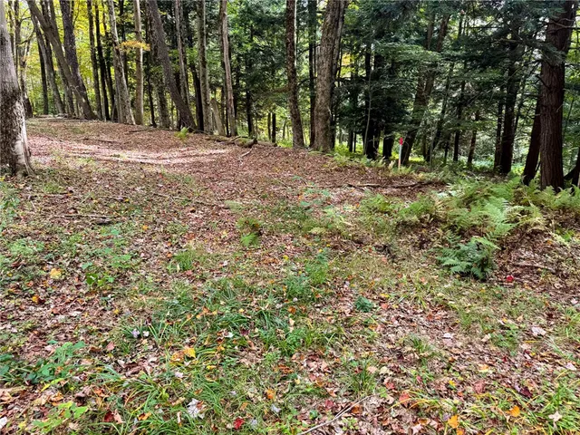 $110,000 | 7465 Chappel Road, Hamilton, NY 13346